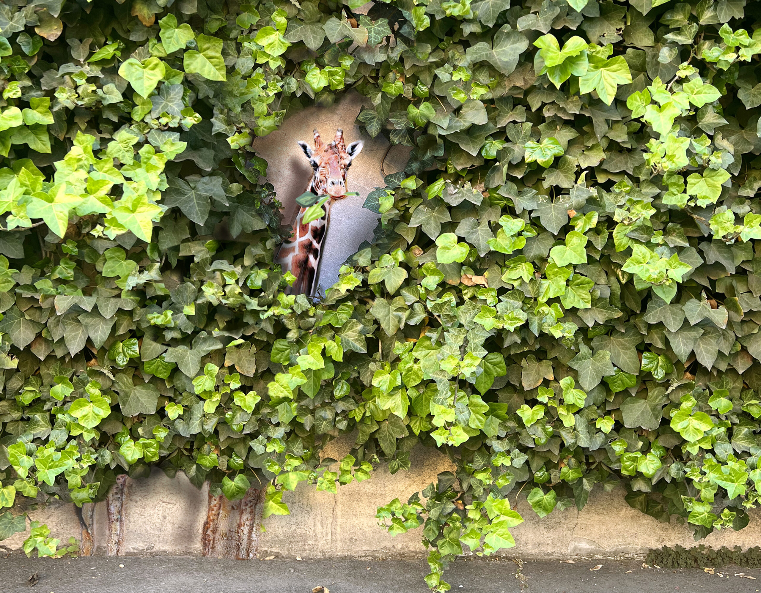 foto sito-first-facciata