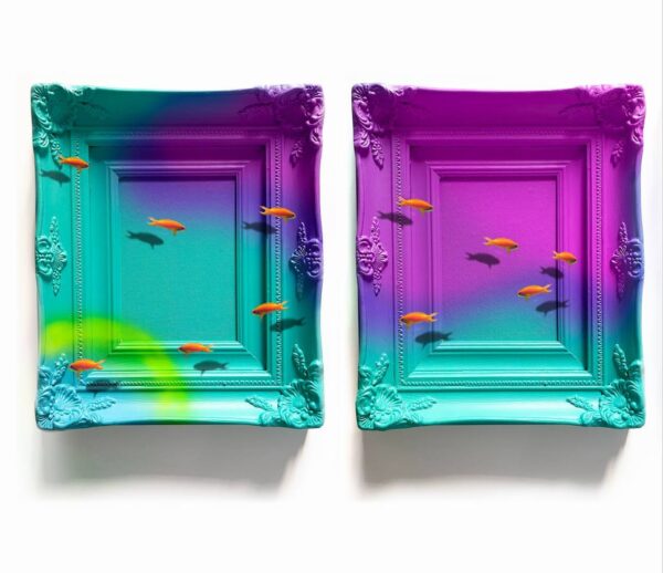 The Dance of Rainbows