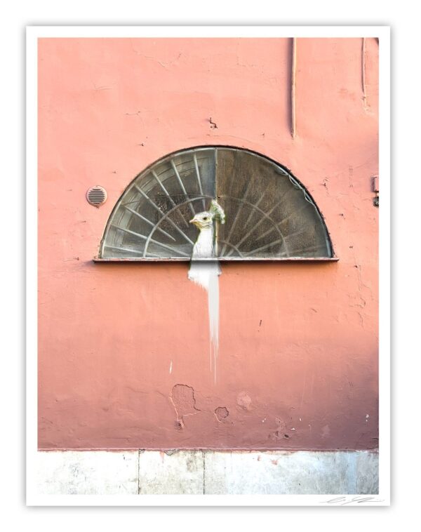 Sunrise in Rome - Print