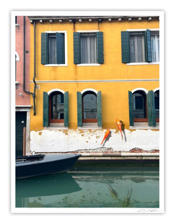 Flying Through Venice - Print