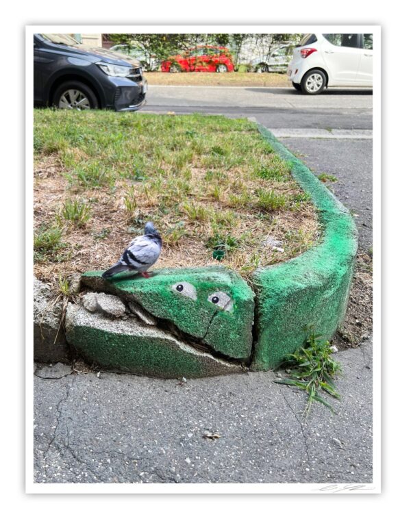 A Green Smile - Print