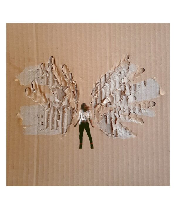 Believe in Your Wings and Many Other Things - PRINT