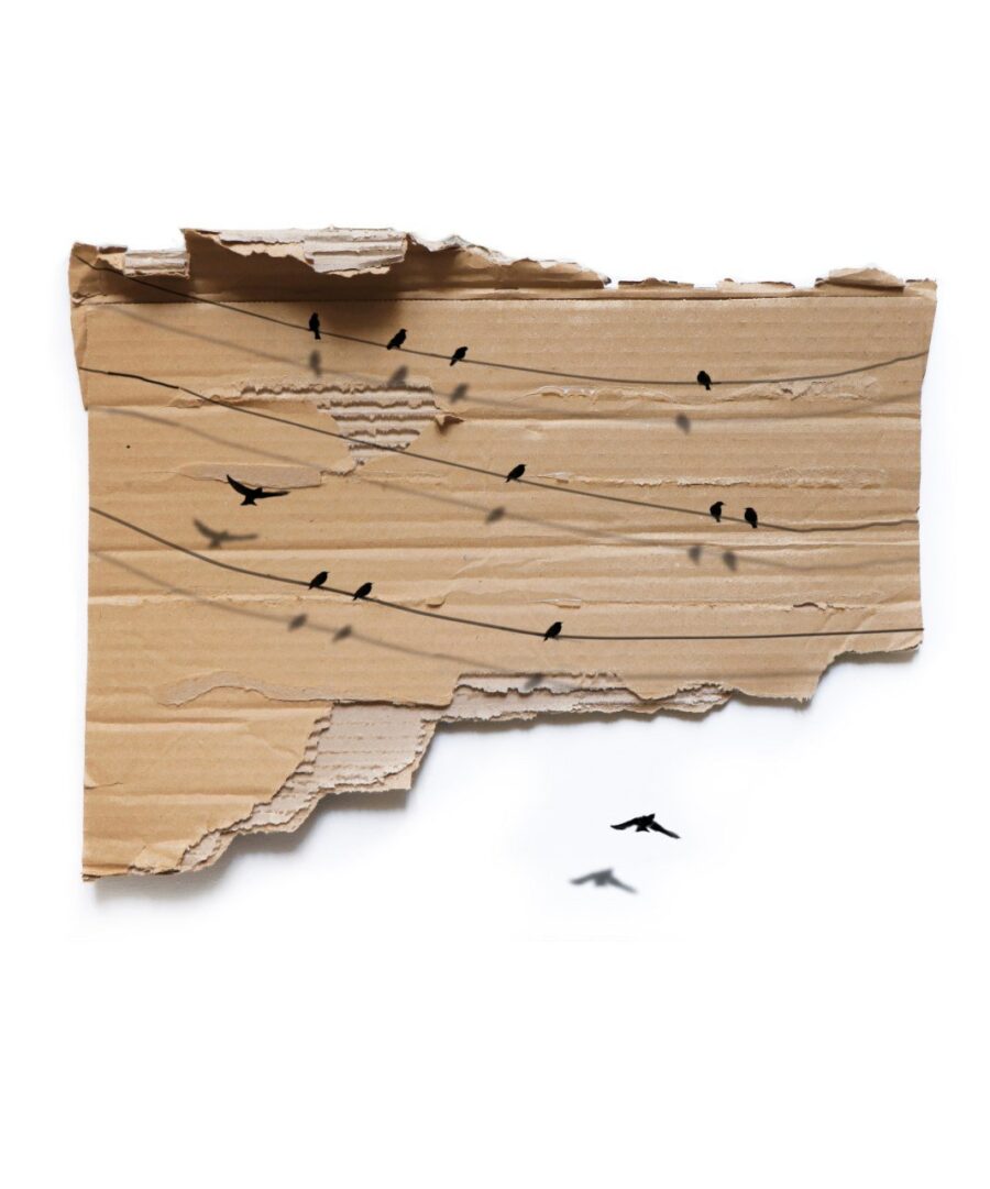 Time to Fly - PRINT - Golsa Golchini Art