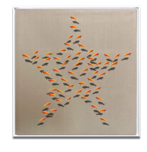 A Starfish