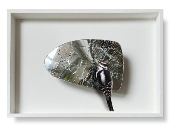 Art Never Makes Mistakes